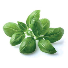 Carica l&#39;immagine nel visualizzatore di Gallery, Click &amp; Grow Starter Pack Erbe Aromatiche - Set di 3 confezioni capsule... - Ilgrandebazar