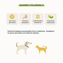 Carica l'immagine nel visualizzatore di Gallery, 1