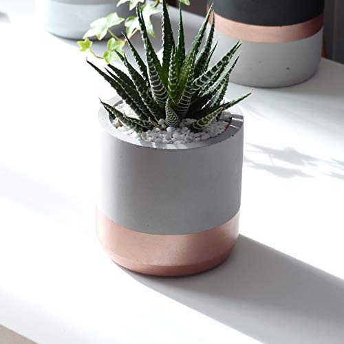 Atelier Ideco - Rotonda Grigia Coperta E Rosegold Vaso Di Fiori Cemento,... - Ilgrandebazar