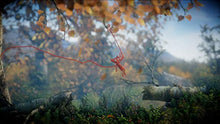 Carica l&#39;immagine nel visualizzatore di Gallery, Unravel Yarny Bundle - PlayStation 4