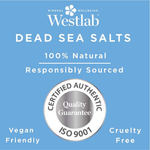 Westlab - Sale del Mar Morto, sacco richiudibile da 1 kg 1kg - Ilgrandebazar