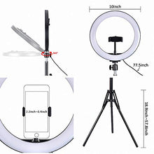 Carica l&#39;immagine nel visualizzatore di Gallery, Queta LED luce ad anello con treppiede, 10 pollici dimmerabile, 3 modalità...