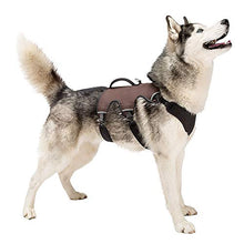 Carica l&#39;immagine nel visualizzatore di Gallery, Ferplast Pettorina Ergonomica per Cani Ergotrekking P Large, 6 Nero - Ilgrandebazar