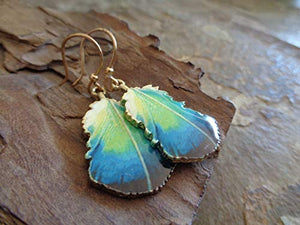 ✿ FOGLIA ORO SMALTO - ✿ orecchini piuma di pavone verde - blu -...