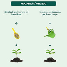 Carica l'immagine nel visualizzatore di Gallery, Il Paese Verde Drin Ferro Chelato 200g - Ferro Chelato Per Piante Contro Ingiallimenti Dovuti Alla Clorosi Ferrica. Ferro Chelato Microgranulare Consentito In Agricoltura Biologica.