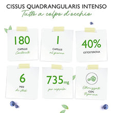 Carica l'immagine nel visualizzatore di Gallery, 2