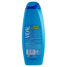 Carica l&#39;immagine nel visualizzatore di Gallery, Vidal Bagnoschiuma Rinfrescante con Minerali dell&#39;Arctico - 500 ml - Ilgrandebazar