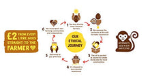 Carica l&#39;immagine nel visualizzatore di Gallery, Olio di Cocco Biologico Extra Vergine 1 Litro | Crudo e Spremuto a Freddo |...
