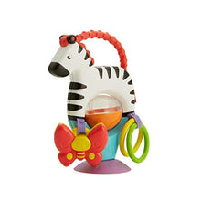 Carica l&#39;immagine nel visualizzatore di Gallery, Fisher Price FGJ11 - Zebra Attività - Giocattolo Neonato