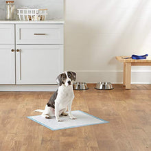 Carica l'immagine nel visualizzatore di Gallery, AmazonBasics - Tappetini da addestramento per animali domestici e Normale