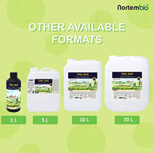 Carica l&#39;immagine nel visualizzatore di Gallery, Nortembio Acido Citrico 2 kg (4x500g). Polvere Anidro, 100% Puro. per... - Ilgrandebazar