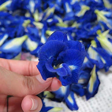 Carica l&#39;immagine nel visualizzatore di Gallery, Blue Butterfly Pea Flowers (Clitoria Ternatea/Anchan) - Magic Colour...