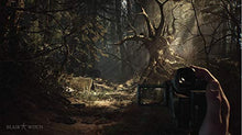 Carica l'immagine nel visualizzatore di Gallery, Blair Witch - PlayStation 4