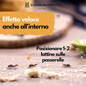 Panteer ® Lattina di esca per formiche - 4 esche per formiche - Facile controllo delle formiche con veleno per formiche - Contro più di 3 specie - Per interni e per le formiche nel prato