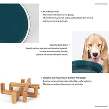 Carica l'immagine nel visualizzatore di Gallery, Petxt - Ciotola in ceramica rialzata per cuccioli di gatto, altezza bianco