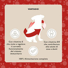 Carica l'immagine nel visualizzatore di Gallery, 5