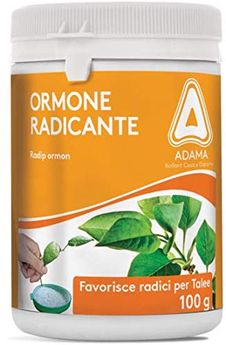 ADAMA ORMONE RADICANTE RADIP ORMON DA GR.100 PER TUTTI I TIPI DI TALEE