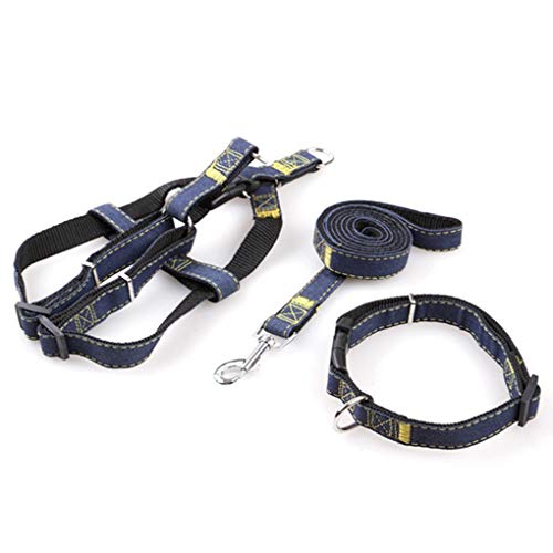 Set guinzaglio per Cani Collare in Denim Gatto di Small, Nero - Ilgrandebazar