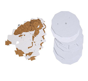 Exerz EX-SCGL20 Globo da Grattare (Diametro: 20 cm) / Mappamondo/Scratchable...