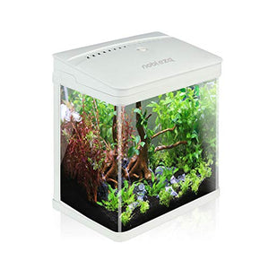 Nobleza - Nano Acquario in Vetro per Pesci Acqua Tropicali con 7 L, Bianco - Ilgrandebazar