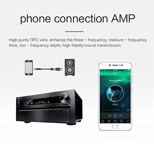 LinkinPerk Cavo AUX 3,5mm a Doppio 6,35mm,Cavo Jack Mono Stereo 3.5 a 1M