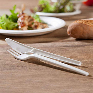 BIOZOYG Forchette Monouso Forchetta Plastica Bianca 163mm (50 pezzi), Bianco - Ilgrandebazar