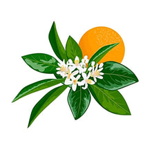 Carica l'immagine nel visualizzatore di Gallery, 4