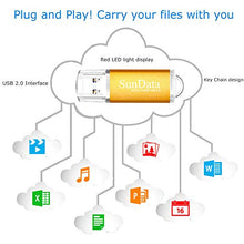 Carica l'immagine nel visualizzatore di Gallery, SunData Pendrive 64GB Chiavetta USB 3.0 archiviazione dati pen 64GB, Oro