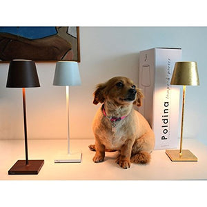 Ai Lati POLDINA Lampada da Tavolo LED 2W 3000K Ricaricabile IP54 Esterno... - Ilgrandebazar