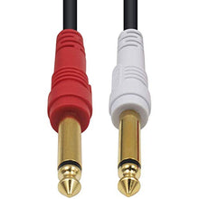 Carica l'immagine nel visualizzatore di Gallery, Duttek 5 ft/1.5 m 2 * 6.35 mm 1/Cavo Audio Jack da 10,2 cm Stereo Maschio...