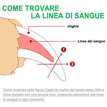 Carica l'immagine nel visualizzatore di Gallery, JTENG Tagliaunghie Cane e Gatto per Protezione Cani - Acciaio Inossidabile...