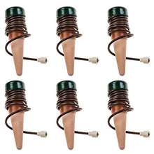 Carica l&#39;immagine nel visualizzatore di Gallery, Blumat distributore d&#39; Acqua per Le Piante (6 Pezzi) 6 pezzi