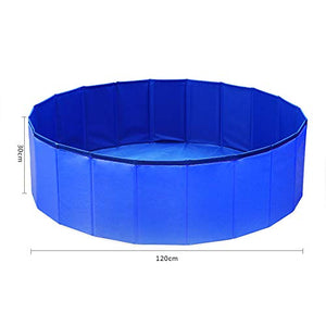 GoPetee Piscina per Cani Pieghevole Rigida Oceano Fuori Terra di L