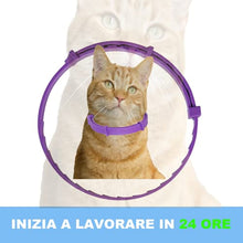 Carica l'immagine nel visualizzatore di Gallery, 1