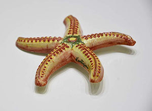 Stella marina in ceramica dipinta a mano