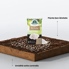 Carica l'immagine nel visualizzatore di Gallery, Perlite Giardinaggio 5L - Utilizzabile Sia Come Perlite Per Piante In Vaso, Inerti Per Piante Grasse, Perlite Per Piante Carnivore E Per Tutti I Tipi Di Terreno.