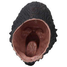 Carica l&#39;immagine nel visualizzatore di Gallery, Tnfeeon Burattini Cappuccetto Gioco di Ruolo Giocattolo in Gorilla - Ilgrandebazar