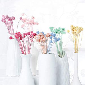 INVISIKAYAK Craspedia Globosa Materiale Fiore Immortal 40pcs, Creamy-white - Ilgrandebazar