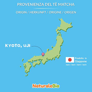 Tè Verde Matcha Biologico in Polvere [ GRADO PREMIUM ] da 100 grammi. 100 g