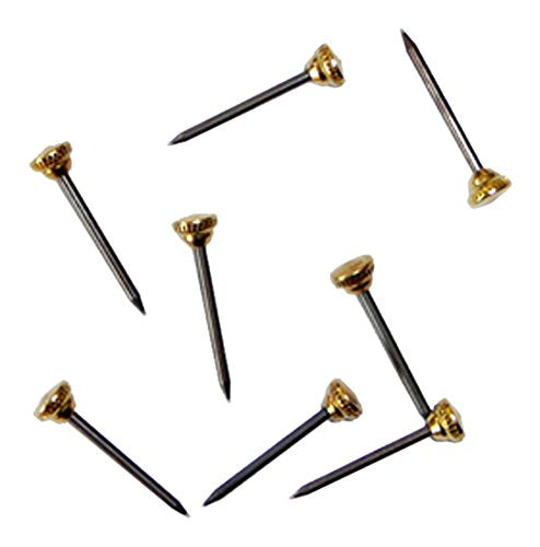 Bulk Hardware BH04785 Chiodo per Ganci Appendi-Quadri in Pack of 100, Bianco - Ilgrandebazar