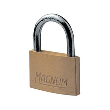 Carica l'immagine nel visualizzatore di Gallery, Master Lock CAD40 Lucchetto Ottone 40mm-Arco Acciaio