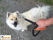Carica l'immagine nel visualizzatore di Gallery, BEST DOG - Premium Guinzaglio per cani di grossa taglia, arancio-nero - Ilgrandebazar