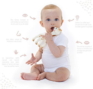 SOPHIE LA GIRAFE, Sophie la giraffa Fresh Touch Box, Giocattolo in gomma naturale al 100% per bambini