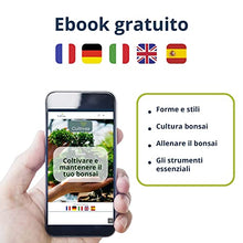 Carica l'immagine nel visualizzatore di Gallery, Cultivea Mini - Bonsai Ready-to-Grow Kit - Semi francesi 100% ecologici - Giardino e decorazione - Idea regalo (Mela rossa, Cercis cinese, Ginepro, Liquidambar, Abete rosso)