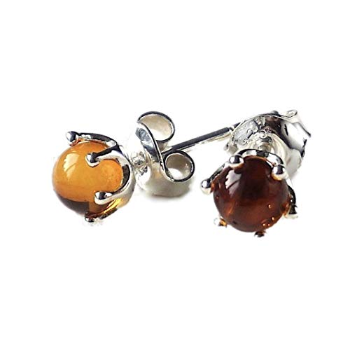 Camaleonte Orecchini a Bottone in Argento Sterling Massiccio 925 con Ambra... - Ilgrandebazar