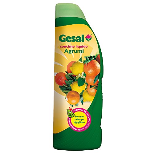 GESAL 2676502005 Concime per Agrumi, 1 l, Verde, 26.5x7x8.9 cm