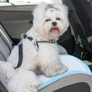 HyAiderTech Tappetini Igienici per Cani, Telini Assorbenti 50 pack