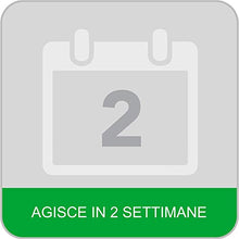 Carica l'immagine nel visualizzatore di Gallery, Baygon Esca Insetticida Formiche Pronta all'Uso, Protezione Cucina 30 g -...