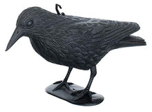 Carica l'immagine nel visualizzatore di Gallery, Brandsseller Set 3 Statuetta di Corvo 36 cm Neri 3 Pezzi Corvo Finto Spaventapasseri