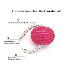 Carica l&#39;immagine nel visualizzatore di Gallery, Nifogo Giocattoli per i Cani Piccoli,Pet Palla con Ventosa,con...